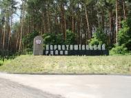 Царівка з panoramio.com