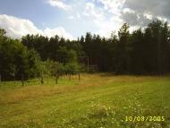 Літки з panoramio.com