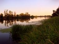 Шелудьківка з panoramio.com