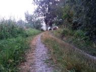 Мисайлівка - Останні фото