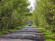 Золота Поляна з panoramio.com