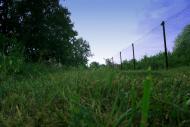 Чехівка з panoramio.com - Чехівка