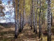 Прилужжя з panoramio.com