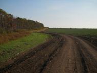 Дубки з panoramio.com