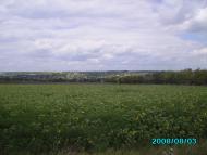 Гаврилівка з panoramio.com