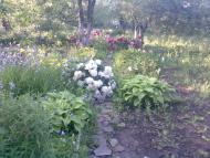 Теплогірськ з panoramio.com