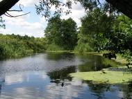 Стобихва з panoramio.com