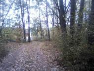 Тарасенки з panoramio.com - Тарасенки