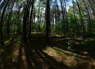 Орликівка з panoramio.com