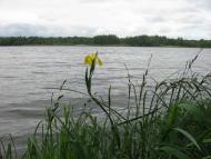 Рудня-Городищенська з panoramio.com