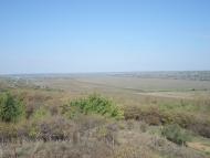 Андрійчикове з panoramio.com