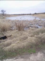 Володимирівка з panoramio.com