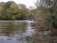 Трубіївка з panoramio.com