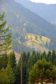 Ільці з panoramio.com - Ильцы