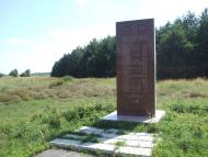 Ялинці з panoramio.com