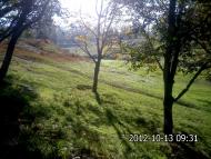 Олексіївка з panoramio.com - Алексеевка