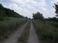 Українське з panoramio.com
