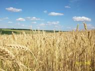 Михайлівка з panoramio.com