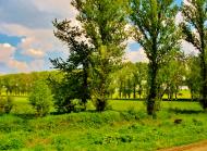 Бране Поле з panoramio.com