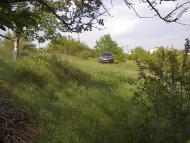 Трихати з panoramio.com