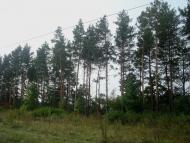Кам'янка з panoramio.com