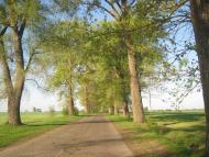 Бриків з panoramio.com