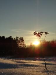 Дідовичі з panoramio.com