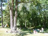 Корчаківка з panoramio.com