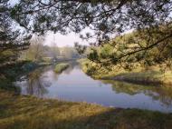 Рудня-Бистра з panoramio.com