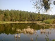 Ставки з panoramio.com