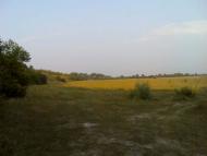 Араповичи з panoramio.com