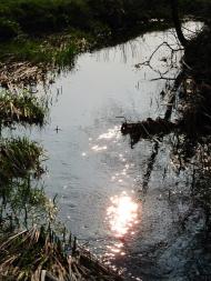 Біленьке з panoramio.com