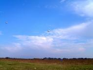 Мала Березівка з panoramio.com