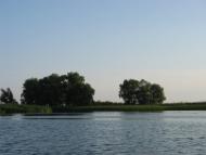 Кедина Гора з panoramio.com