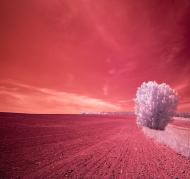 Гулі з panoramio.com