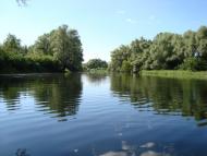 Келеберда з panoramio.com