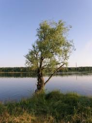 Вільхівка з panoramio.com