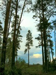 Раска з panoramio.com