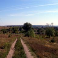 Дячківка з panoramio.com