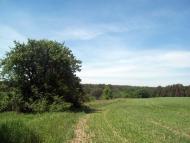 Вишняки з panoramio.com - Вишняки
