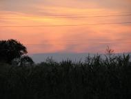 Правобережна Сокілка з panoramio.com