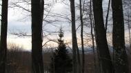 Кам'яниця з panoramio.com - Кам'яниця