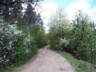 Вишняки з panoramio.com - Вишняки