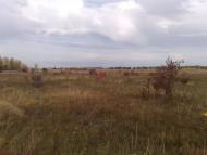 Узин з panoramio.com