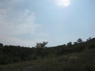 Підгірне з panoramio.com