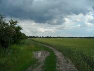 Новофастів з panoramio.com