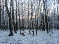 Сіряки з panoramio.com - Серяки