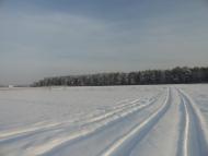 Дідовичі з panoramio.com