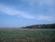 Шевченка з panoramio.com