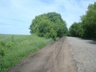 Черепова з panoramio.com